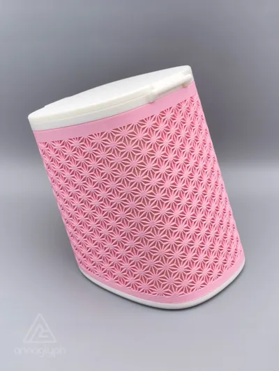 https://makerworld.bblmw.com/makerworld/model/1288055/1317749/ratings/26875e90-b822-11f0-b81e-0b370657f0de.jpg