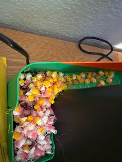 https://makerworld.bblmw.com/makerworld/model/1288376/1318053/ratings/82e2bda0-14d6-11f0-b360-23c4c2eea76c.jpg