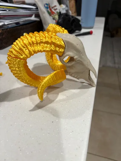 https://makerworld.bblmw.com/makerworld/model/128852/247128/ratings/ad323180-8ff6-11f0-9321-4be786749527.jpg