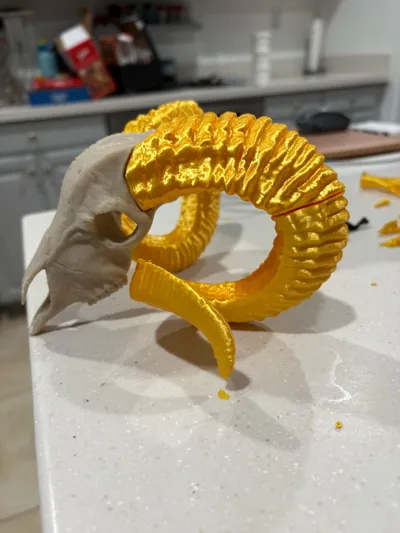 https://makerworld.bblmw.com/makerworld/model/128852/247128/ratings/ad342d50-8ff6-11f0-9321-4be786749527.jpg
