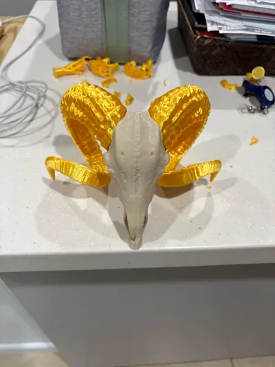 https://makerworld.bblmw.com/makerworld/model/128852/247128/ratings/ad3bce70-8ff6-11f0-9321-4be786749527.jpg
