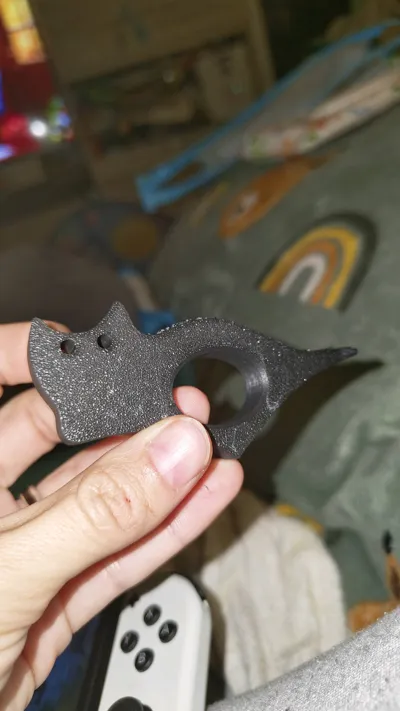 https://makerworld.bblmw.com/makerworld/model/1288965/1324558/ratings/ccae39e0-e024-11f0-a2cd-77a556069e6c.jpg