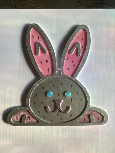 https://makerworld.bblmw.com/makerworld/model/1289320/1319194/ratings/e20faa90-18ff-11f0-a338-a950ae51c914.jpg