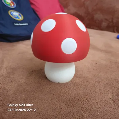 https://makerworld.bblmw.com/makerworld/model/12902/13001/ratings/5a05a520-b11e-11f0-9722-a7a937ee8d54.jpg
