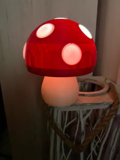 https://makerworld.bblmw.com/makerworld/model/12902/94793/ratings/fe712340-0d69-11f0-adc1-9147c5b8447d.jpg