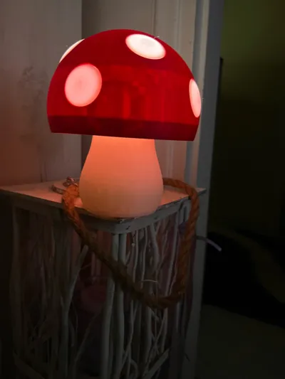 https://makerworld.bblmw.com/makerworld/model/12902/94793/ratings/fe712341-0d69-11f0-adc1-9147c5b8447d.jpg