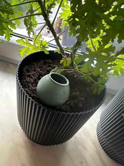 https://makerworld.bblmw.com/makerworld/model/1291372/1321727/ratings/eae98560-387f-11f0-b516-b3d360a1d62f.jpg