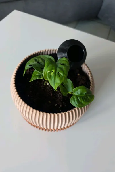 https://makerworld.bblmw.com/makerworld/model/1291372/1321727/ratings/ffadd440-8a34-11f0-b31c-49b403e3f067.jpg