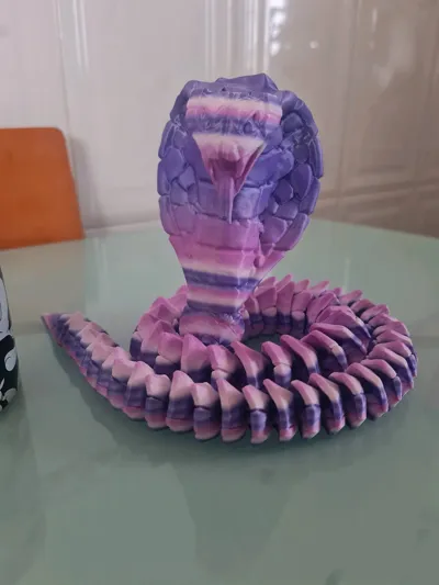 https://makerworld.bblmw.com/makerworld/model/1291377/1321733/ratings/b2c00b40-e7c1-11f0-a0a0-9be9d0085499.jpg