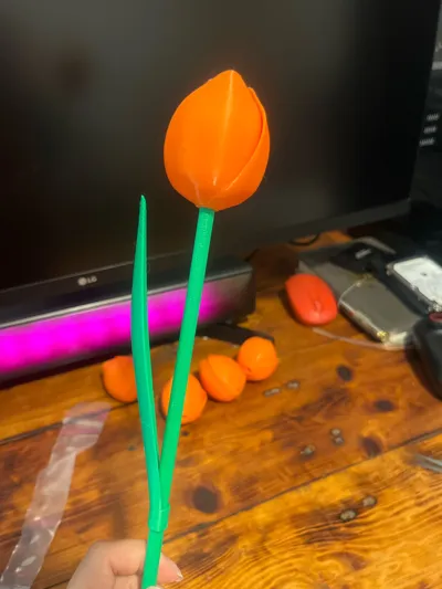 https://makerworld.bblmw.com/makerworld/model/1291462/1321826/ratings/9e6c97c0-e0d8-11f0-92ba-9f220e5c5e61.jpg