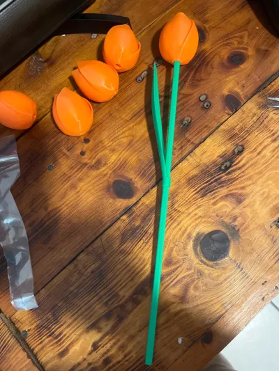 https://makerworld.bblmw.com/makerworld/model/1291462/1321826/ratings/9e83c940-e0d8-11f0-92ba-9f220e5c5e61.jpg