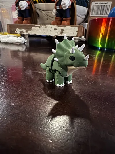https://makerworld.bblmw.com/makerworld/model/1292923/1323607/ratings/35b13a70-9e8d-11f0-860c-7b40fa3976bb.jpg