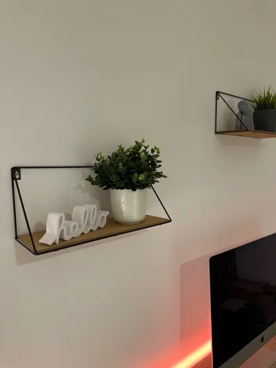 https://makerworld.bblmw.com/makerworld/model/1294836/1325822/ratings/9b3ed5b0-c303-11f0-a8aa-4f2c36874c4d.jpg