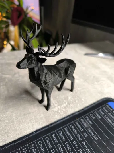 https://makerworld.bblmw.com/makerworld/model/1294908/1325926/ratings/f46a32c0-c253-11f0-acac-05253f77ac2e.jpg