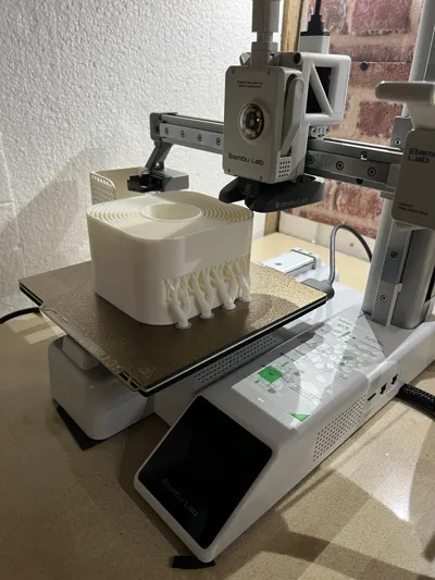 https://makerworld.bblmw.com/makerworld/model/1295535/1326757/ratings/0dfc1fb0-1768-11f0-bc74-85ef2acc1647.jpg