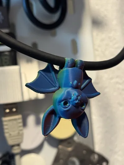 https://makerworld.bblmw.com/makerworld/model/1296552/1328191/ratings/b40e6a60-1561-11f0-b3b9-71536ccaadcf.jpg