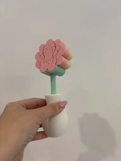 https://makerworld.bblmw.com/makerworld/model/1297471/1329089/ratings/5ab54720-2526-11f0-8dab-4b4f2b4aed86.jpg