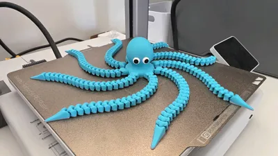https://makerworld.bblmw.com/makerworld/model/1297536/1329179/ratings/6f542240-f975-11f0-9cd2-3978030dcc3e.jpg