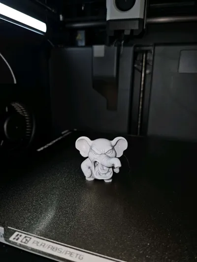 https://makerworld.bblmw.com/makerworld/model/1297877/1329626/ratings/64e9d3c0-2498-11f0-801b-239a1e5a4d16.jpg