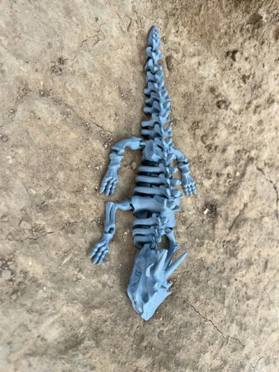 https://makerworld.bblmw.com/makerworld/model/129872/140810/ratings/1a61bc00-a607-11f0-962f-61896071f473.jpg
