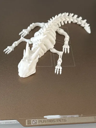 https://makerworld.bblmw.com/makerworld/model/129872/140810/ratings/71e7bab0-2c3b-11f0-860c-ffdac47d113f.jpg