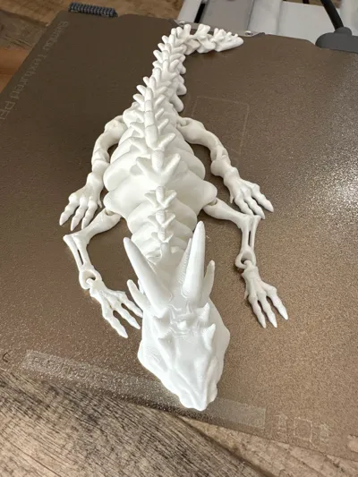 https://makerworld.bblmw.com/makerworld/model/129872/140810/ratings/9ef8d8d0-52a7-11f0-90dc-7d3261f663fa.jpg