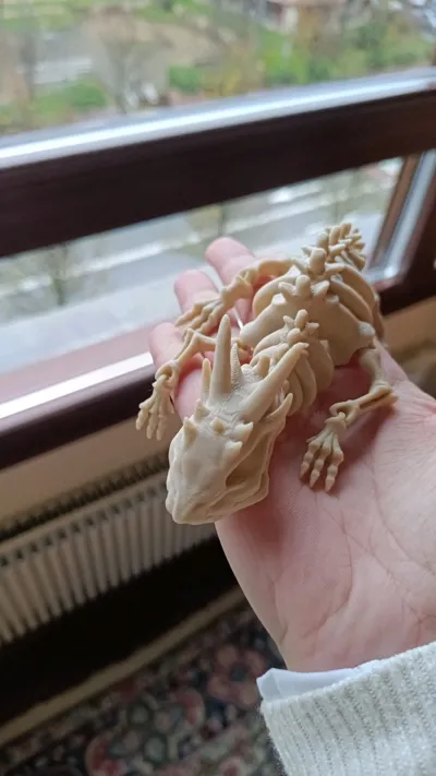 https://makerworld.bblmw.com/makerworld/model/129872/140810/ratings/c6d5f110-ee1c-11f0-b34f-0ddf016d49de.jpg