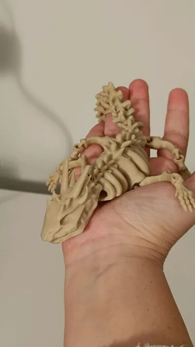https://makerworld.bblmw.com/makerworld/model/129872/140810/ratings/c6ea6370-ee1c-11f0-b34f-0ddf016d49de.jpg