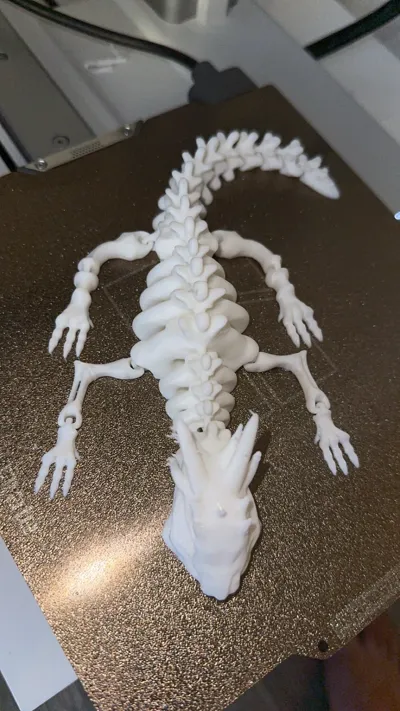 https://makerworld.bblmw.com/makerworld/model/129872/141845/ratings/fb89c550-6f12-11f0-be5d-51c13e43627f.jpg