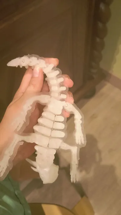 https://makerworld.bblmw.com/makerworld/model/129872/145838/ratings/14520ad0-49d8-11f0-92b3-093b6e6ec30a.jpg