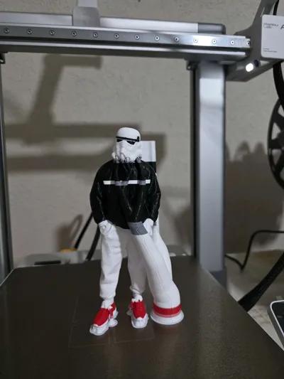 https://makerworld.bblmw.com/makerworld/model/1299134/1331099/ratings/85f31990-26ab-11f0-b2bc-c12d3b66df9d.jpg