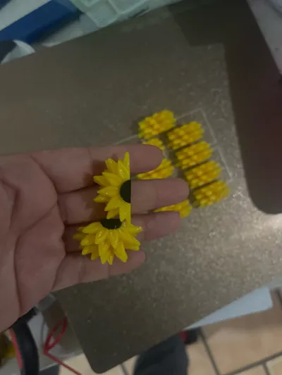 https://makerworld.bblmw.com/makerworld/model/1299385/1335950/ratings/73599d90-473f-11f0-a6e7-7d1003491c3c.jpg