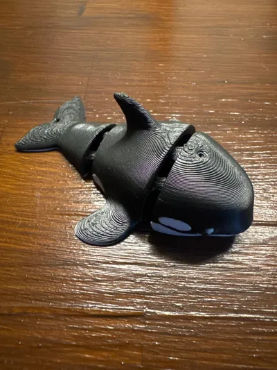 https://makerworld.bblmw.com/makerworld/model/1300237/1332449/ratings/5b85f600-658f-11f0-9406-630e8e636f76.jpg