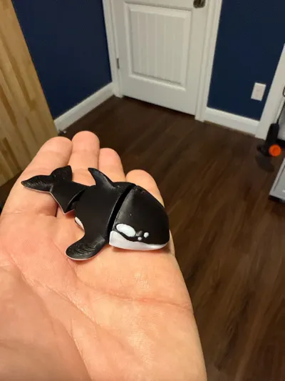 https://makerworld.bblmw.com/makerworld/model/1300237/1332449/ratings/c7ba4660-2033-11f0-8bca-43eb3f74fa20.jpg