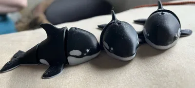 https://makerworld.bblmw.com/makerworld/model/1300237/1332449/ratings/edc44570-16da-11f0-83e9-af961df3b58a.jpg
