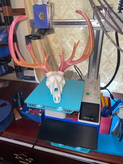 https://makerworld.bblmw.com/makerworld/model/1301243/1333628/ratings/71c439c0-2dd3-11f0-bdb7-133402b20660.jpg