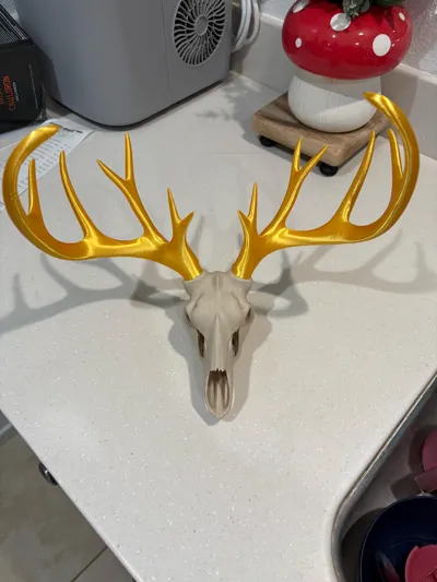 https://makerworld.bblmw.com/makerworld/model/1301243/1333628/ratings/e4dc46f0-8f12-11f0-9528-536ccae5a8d4.jpg