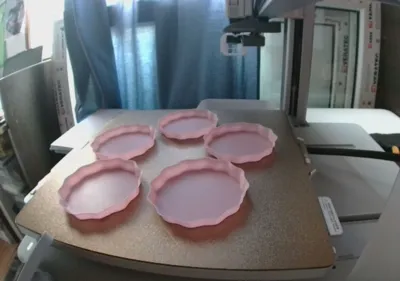 https://makerworld.bblmw.com/makerworld/model/1302130/1334713/ratings/93cebd50-6d7b-11f0-9e6f-dd6ca5e6eb7d.jpg