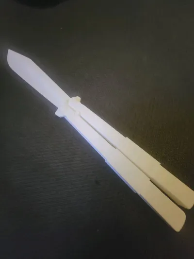 https://makerworld.bblmw.com/makerworld/model/1303077/1335801/ratings/6b09ed60-6cf7-11f0-b8c1-216c2bc7020c.jpg