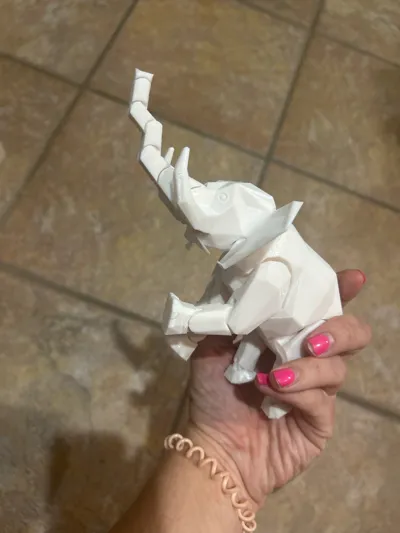 https://makerworld.bblmw.com/makerworld/model/13031/106676/ratings/2d10a640-74d4-11f0-9b00-6d51810d02e3.jpg