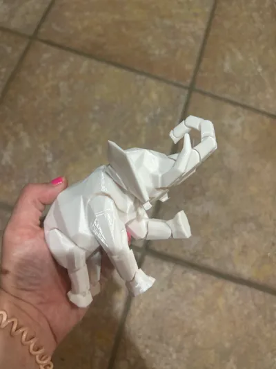 https://makerworld.bblmw.com/makerworld/model/13031/106676/ratings/2d1190a0-74d4-11f0-9b00-6d51810d02e3.jpg