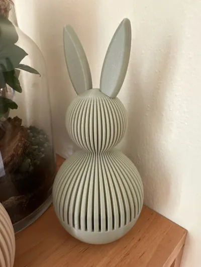 https://makerworld.bblmw.com/makerworld/model/1303146/1335899/ratings/21857fb0-16ee-11f0-b617-33e958323dfe.jpg