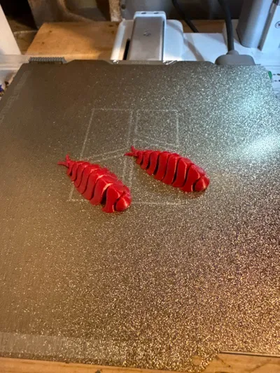 https://makerworld.bblmw.com/makerworld/model/1303781/1343626/ratings/2b63a040-e2b6-11f0-be50-459b29ec7152.jpg