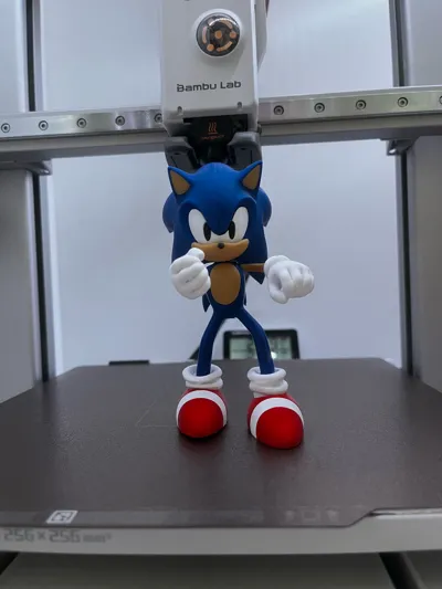 https://makerworld.bblmw.com/makerworld/model/1304444/1337376/ratings/a8c06d60-9726-11f0-b4ee-0d91f3867173.jpg