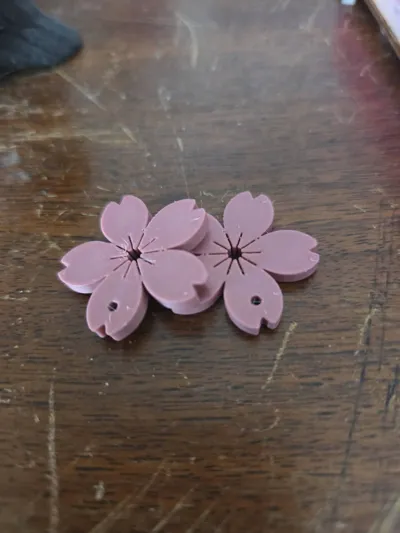 https://makerworld.bblmw.com/makerworld/model/1304810/1380586/ratings/fd33d4c0-d5fd-11f0-8359-e1483c85587c.jpg