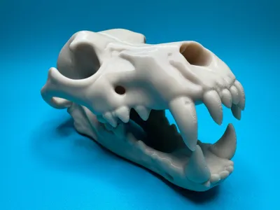 https://makerworld.bblmw.com/makerworld/model/1305063/1338130/ratings/670cfe00-a983-11f0-b6be-7f9867bb0a0d.jpg