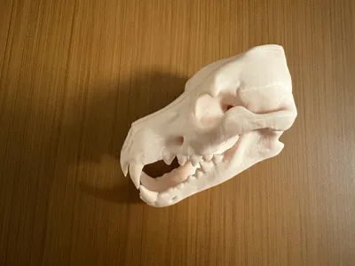 https://makerworld.bblmw.com/makerworld/model/1305063/1338130/ratings/a9d82b80-181d-11f0-b672-01a693d3d710.jpg