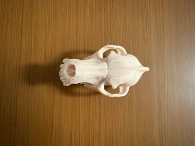 https://makerworld.bblmw.com/makerworld/model/1305063/1338130/ratings/a9d9d930-181d-11f0-b672-01a693d3d710.jpg