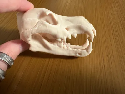 https://makerworld.bblmw.com/makerworld/model/1305063/1338130/ratings/a9dbfc10-181d-11f0-b672-01a693d3d710.jpg