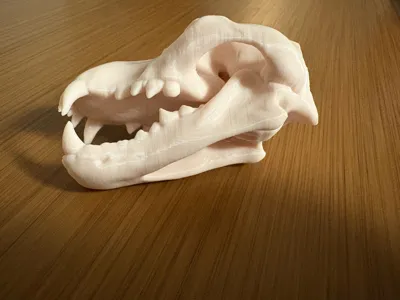 https://makerworld.bblmw.com/makerworld/model/1305063/1338130/ratings/a9dfa590-181d-11f0-b672-01a693d3d710.jpg